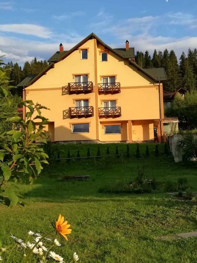 Гірська Палітра Slawske Exterior foto
